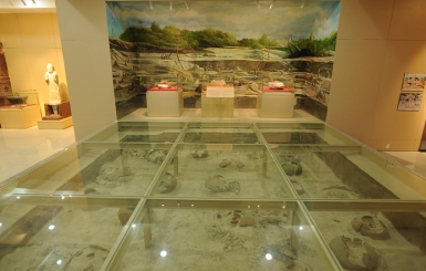 Tất tần tật kinh nghiệm khám phá bảo tàng Côn Đảo