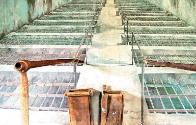 Chuồng cọp Côn Đảo - Tàn tích đau thương giữa địa ngục trần gian