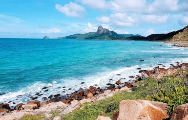 Xem lịch trình tour Côn Đảo, đặt ngay để trải nghiệm!